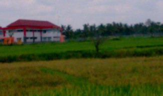 Tanah Pemkab "Diserobot" Oknum PNS Dindik
